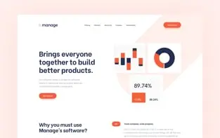 project preview 1